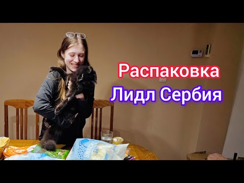 Видео: Что мы купили в Лидле, распаковка с Ноксом