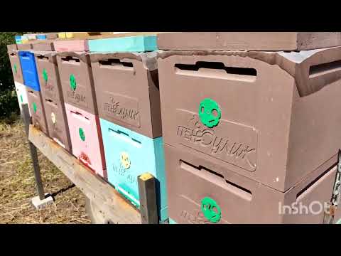 Видео: Модули для перевозки пчел.