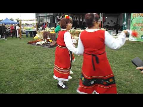 Видео: моменти от фестивала на Дъбенското зеле 08.11.2025 г