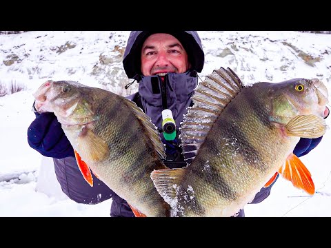 Видео: ПЕРВЫЙ ЛЁД и сразу КИЛОГРАММОВЫЕ ОКУНИ! Это СЧАСТЬЕ!! Вот за такими мы сюда едем! РЫБАЛКА В ЯКУТИИ!