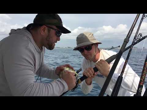 Видео: #24 Рыбалка в водах Майами. Отпуск и никакого дальнобоя