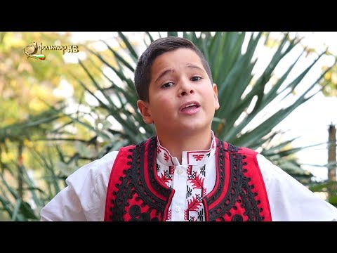 Видео: "Харманлийски славеи" -  Борислав Борисов - Стоян си конче поеше