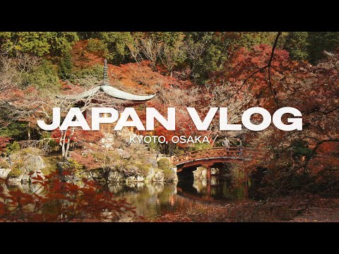 Видео: Осень в Японии влог | Красные клёны Киото, жизнь в квартире Осаки