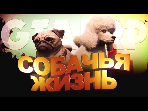 Видео: СОБАЧЬЯ ЖИЗНЬ - GTA5 RP
