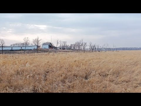 Видео: с. Большеозерка и с. Вишневка Амурской области 14.10.2024