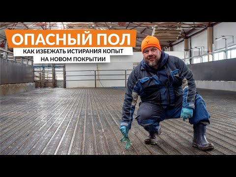 Видео: Влияние бетона на хромоту у коров | Выясняем на практике каким НЕ ДОЛЖНО быть покрытие пола