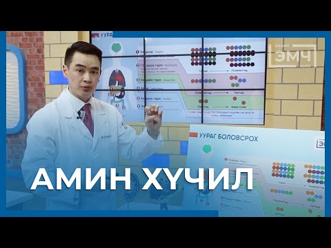 Видео: 126 - Амин хүчил / Цахим Эмч шоу