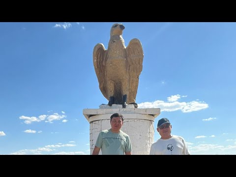 Видео: Алматинская область Балхашский район село Баканас. Протоки речки Или. 