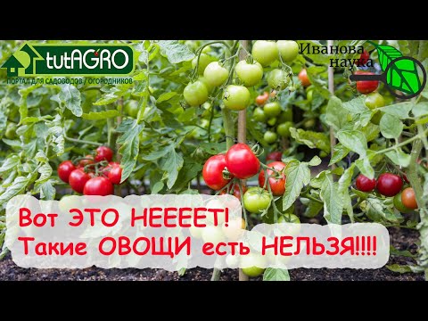Видео: НЕОЖИДАННО! НИКОГДА НЕ ЕШЬТЕ ЭТИ ОВОЩИ! ОНИ - НАСТОЯЩИЙ ЯД! КАК не отравиться с огорода?