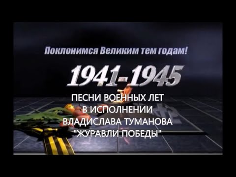 Видео: Владислав Туманов - "Журавли Победы" (ПОКЛОНИМСЯ ВЕЛИКИМ ТЕМ ГОДАМ). 2024 г.