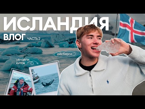 Видео: ИСЛАНДИЯ, которую вы НЕ ОЖИДАЛИ увидеть //киты, пробуем акулу, игра престолов