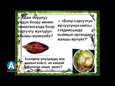 Видео: Предметтик тест. Биология. Жалпы мааалымат.