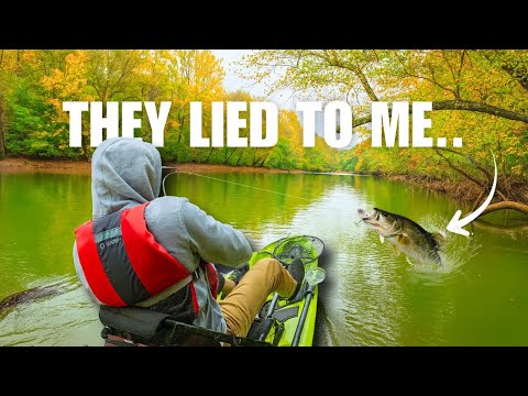 Видео: ГИГАНТСКИЕ полосатые и окунь обожают этот свимбейт (озеро Ланье)