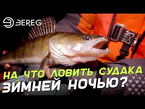 Видео: На что ловить судака зимней ночью? Раздача судака на дропшот!