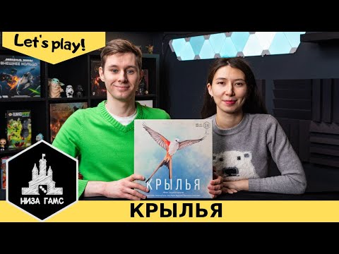 Видео: Играем в Крылья! Одна из самых хайповых семейных игр последних лет. Правила и летсплей.