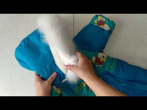 Видео: Меховая опушка на капюшон //Реставрация зимнего комбинезона.