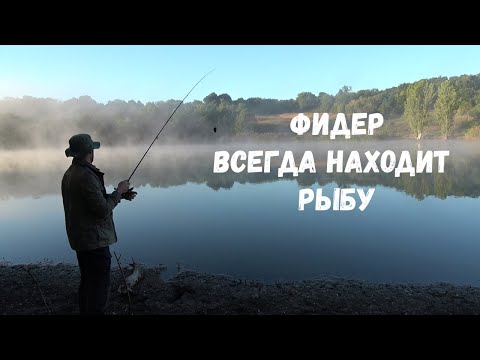 Видео: ОДИН ФИДЕР НА ДЕРЕВЕНСКОМ ПРУДУ, КОГДА РЫБЫ НЕТ И НЕ КЛЮЕТ ОН ВСЕ РАВНО ЛОВИТ!