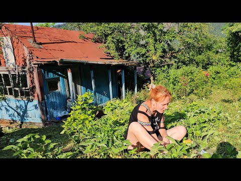 Видео: ЗА 4 ЧАСА ЗАБРОШЕННУЮ ДАЧУ ПРИВЕЛИ В ПОРЯДОК