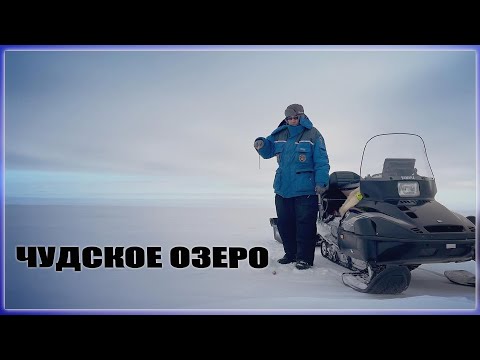 Видео: Чудское озеро 2022. Зимняя рыбалка. Познаю секреты ловли окуней.
