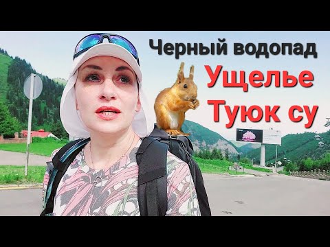 Видео: Чёрный водопад💦 в ущелье Туюк су⛰️. Снова кормлю белок🐿😍