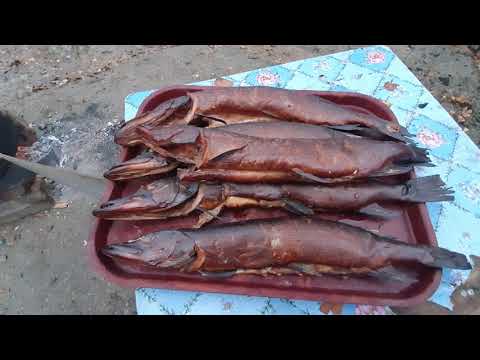 Видео: КАК КАРЕЛЫ НА САМОМ ДЕЛЕ КОПТЯТ РЫБУ И ПОЧЕМУ ТОЛЬКО ПОСЛЕ ЗАМОРОЗКИ