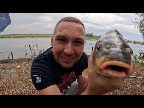 Видео: Рыбалка на карпа на Днестре в Маяках с ночевкой. Часть 1