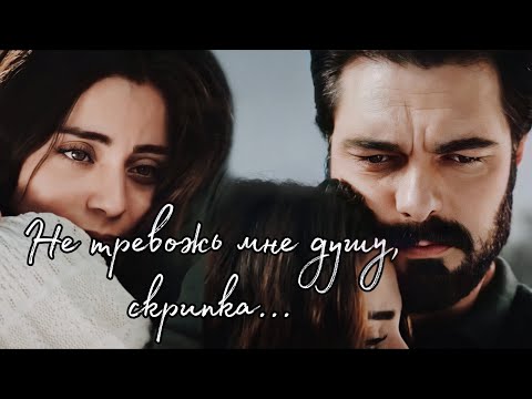 Видео: НЕ ТРЕВОЖЬ МНЕ ДУШУ, СКРИПКА || Яман и Сехер ~ Доверенное Emanet