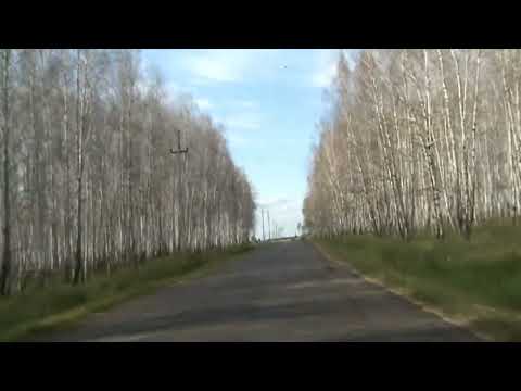 Видео: Путь от Казанки до Большой Ченчери