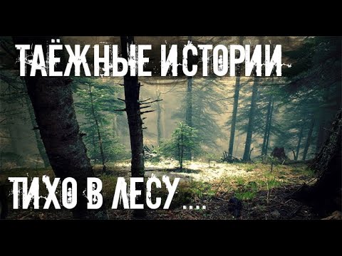 Видео: Не кричи в лесу, лисе это не нравиться. Страшные. Мистические. Творческие  рассказы.