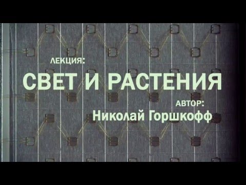 Видео: #118 Лекция: "ФИТОСВЕТ - ВЧЕРА, СЕГОДНЯ, ЗАВТРА". Лектор Николай Горшкофф (часть теоретическая)