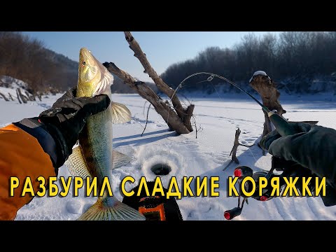 Видео: Нашёл судака на дикой речке! Зимняя рыбалка на вибы и балансиры.