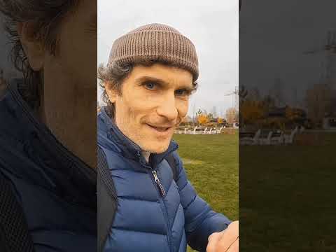 Видео: Чистый звук | Шедевр от DALI | Подбор классной акустической системы по принципу "недорого и сердито"