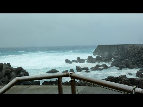 Видео: Я пошел на рыбалку в день тайфуна. [Жизнь рыбака на месяц. 2-й день]