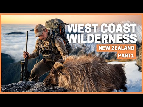Видео: Охота в горах Западного побережья Новой Зеландии с JE Wilds 💥