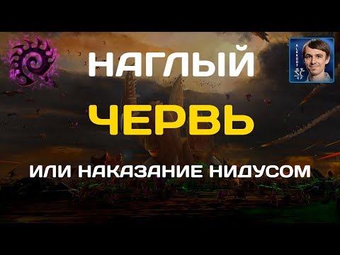 Видео: НАГЛЫЙ ЧЕРВЬ: Наказание нидусом от зергов в StarCraft II