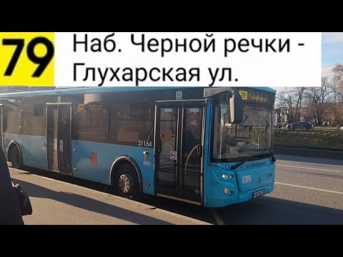 Видео: Автобус 79. Наб. Черной речки - Глухарская ул.