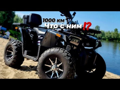 Видео: 1000 км пробег! Итог по эксплуатацыи Comman Shark 200