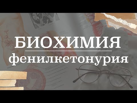Видео: Фенилкетонурия (патогенез, этиология, лечение)  | Биохимия