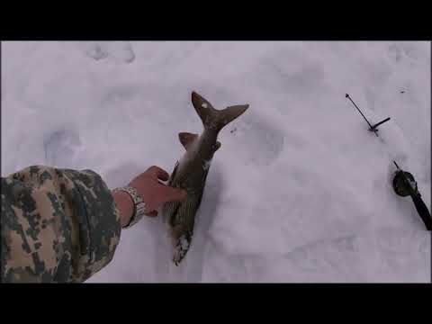 Видео: Рыбалка на Кольском,поехали в тундру,попали в непогоду,хорошо порыбачили(2 часть)