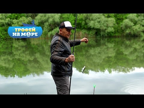 Видео: Трофей на море. 2 серия. Селедка
