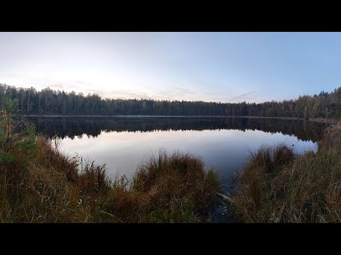 Видео: Озеро Баженовка