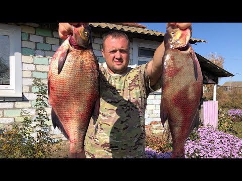 Видео: Как вкусно пожарить Рыбу в казане!!!Лещ и йогуртовый соус!!!!