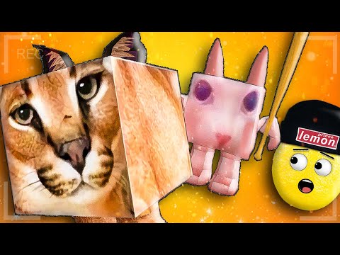 Видео: НА ШЛЕПУ НАПАЛ БИНГУС И ЧМОНЯ В РОБЛОКС! НУБАСТЕР