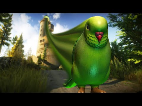 Видео: Попугайчик улетел из Маяка