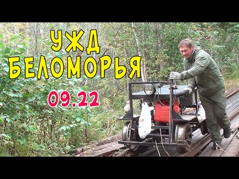 Видео: У самого Белого моря. Путешествие по Кудемской и Липаковской УЖД