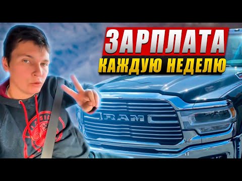 Видео: СИСУН ТРАНСПОРТЕЙШН 💲 выплачивает зарплату каждую неделю.