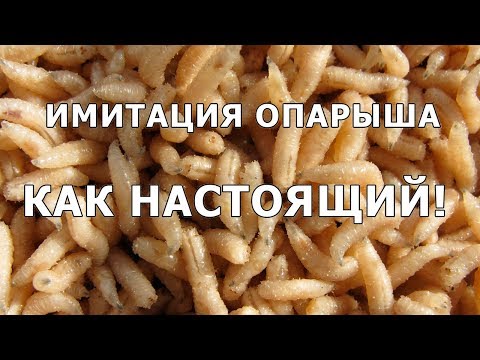 Видео: Имитация Опарыша. Прям как настоящий!