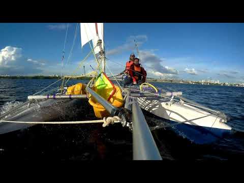 Видео: Ночная Фурия   Виз