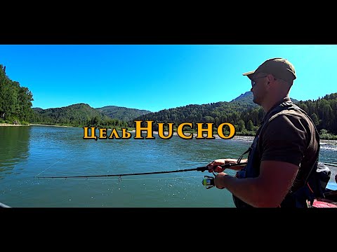 Видео: Рыбалка в Тайге, Цель Hucho. | Серия 4