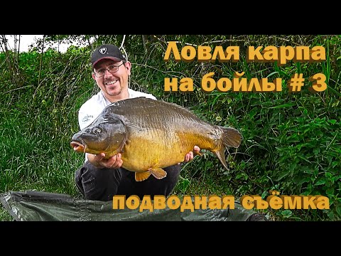 Видео: Ловля карпа на бойлы # 3 подводная съёмка (Видео 4К)